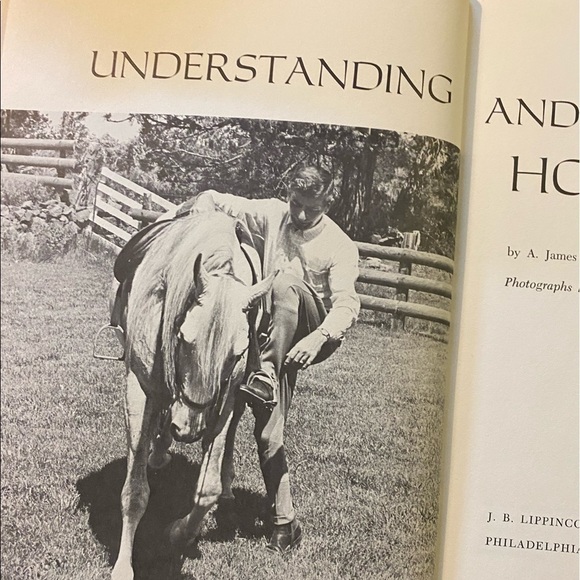 Horse Book 📕 - Picture 3 of 12